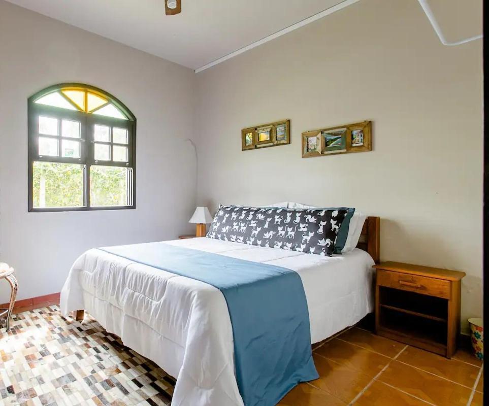 The Cats' House Otel Florianópolis Dış mekan fotoğraf