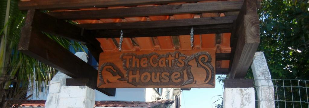 The Cats' House Otel Florianópolis Dış mekan fotoğraf