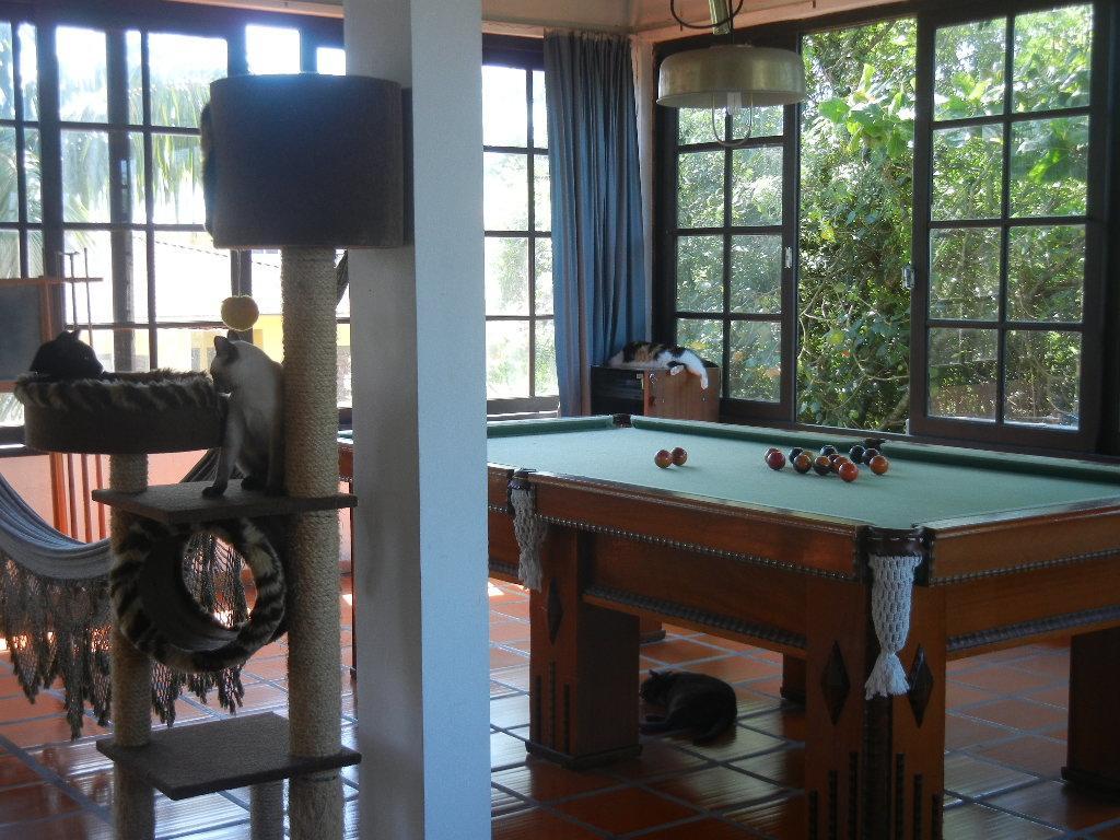 The Cats' House Otel Florianópolis Dış mekan fotoğraf
