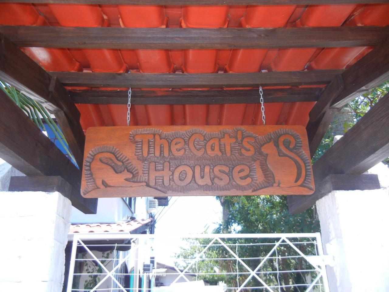 The Cats' House Otel Florianópolis Dış mekan fotoğraf